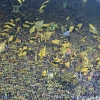 Schwarz-Gelbe Dortmunder Südtribüne